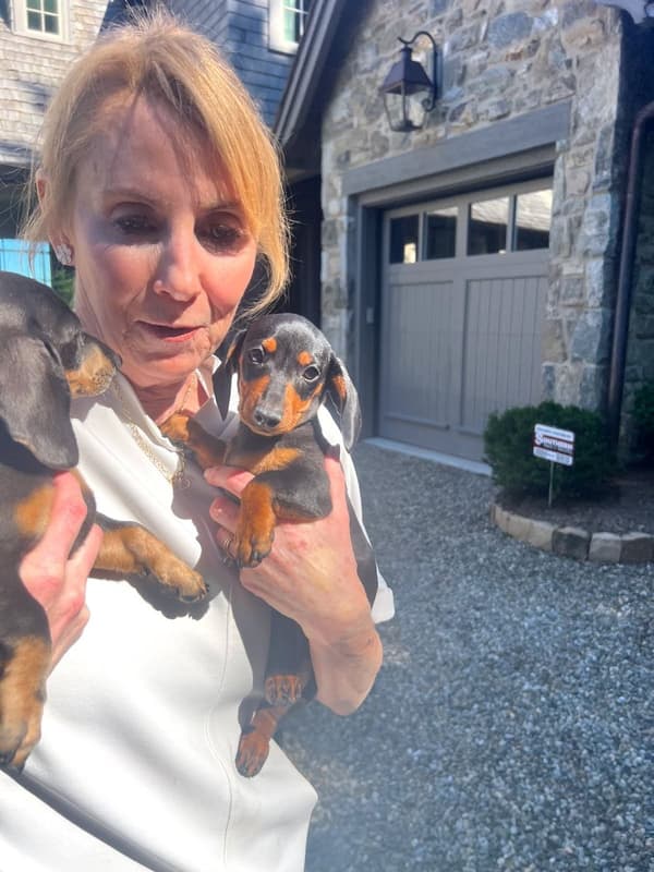 Customer photo of Dachshund, Mini puppy from Jane Y.
