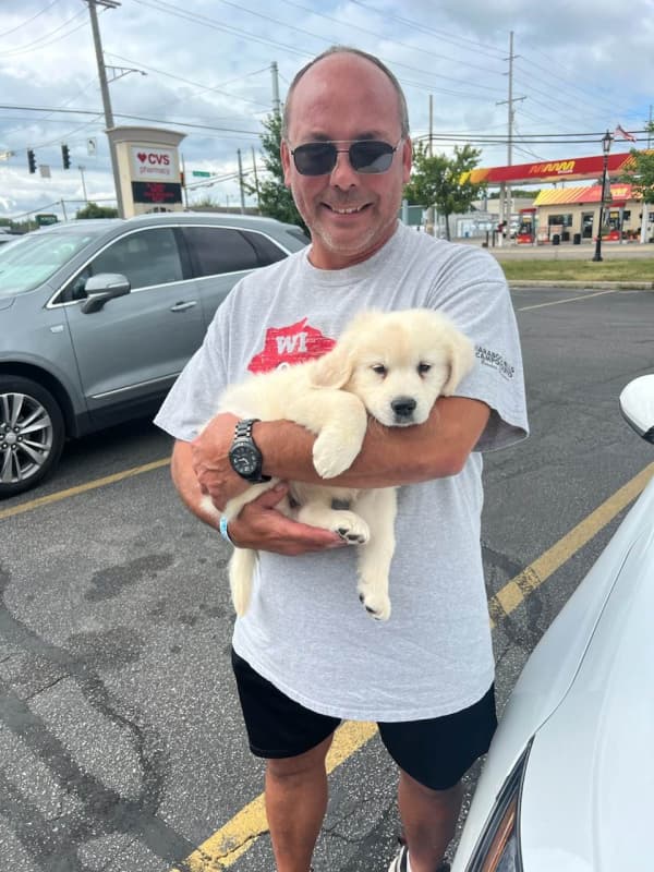Customer photo of Golden Retriever puppy from Holly A.