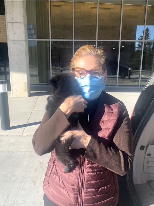 Customer photo of Pomeranian puppy from Francis D.