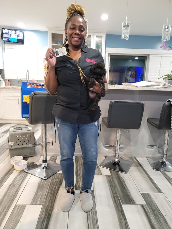 Customer photo of Poodle, Toy puppy from Kimberly W. 