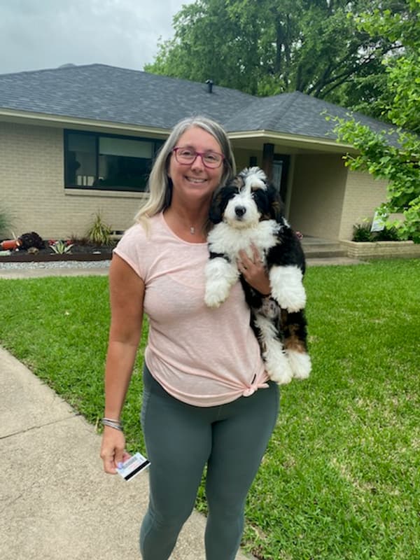 Customer photo of Bernedoodle, Mini puppy from Tracy K.