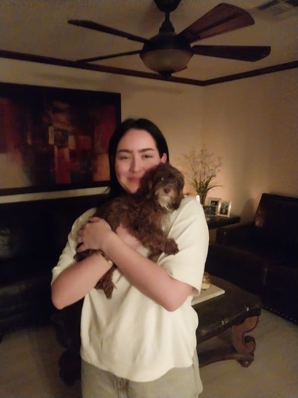 Customer photo of Havapoo puppy from Veronica L.