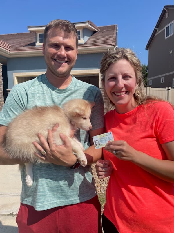 Customer photo of Siberian Husky puppy from Abby P.