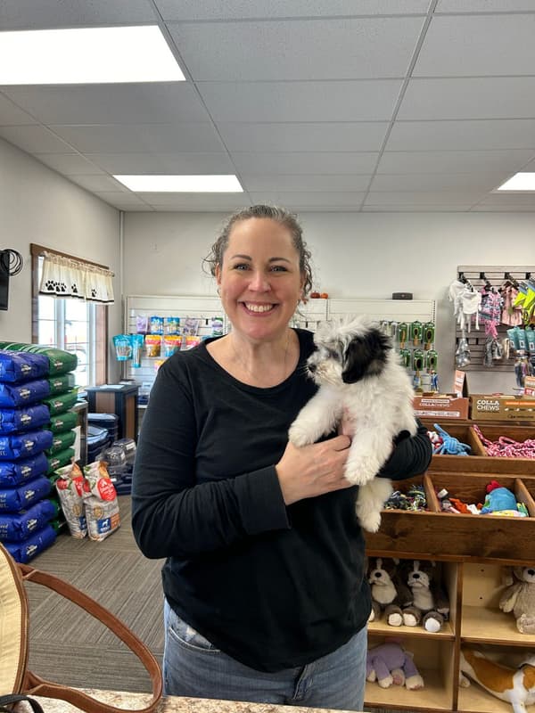 Customer photo of Coton De Tulear puppy from Penny K.