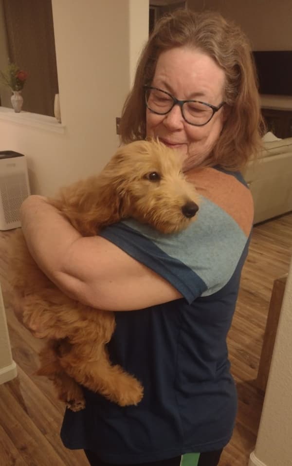 Customer photo of Coton De Tulear puppy from Hillary H.