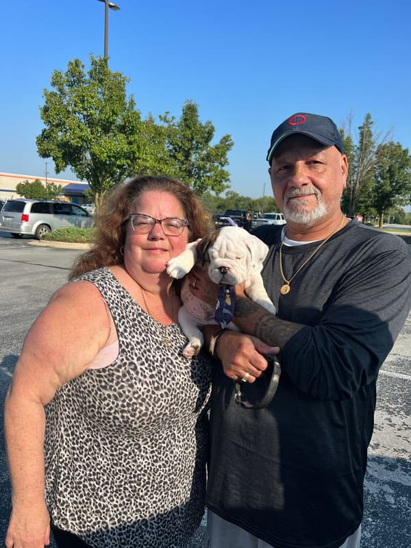 Customer photo of English Bulldog puppy from Tito & MaryAnn L. 