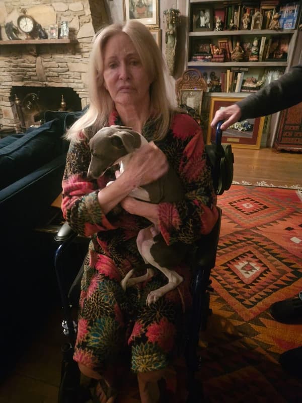 Customer photo of Italian Greyhound puppy from Cynthia G.