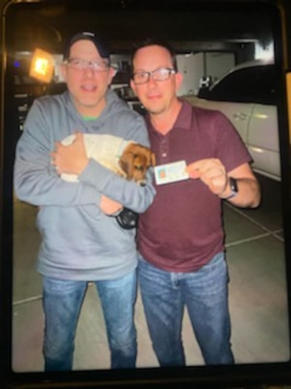 Customer photo of Dachshund, Mini puppy from James C.