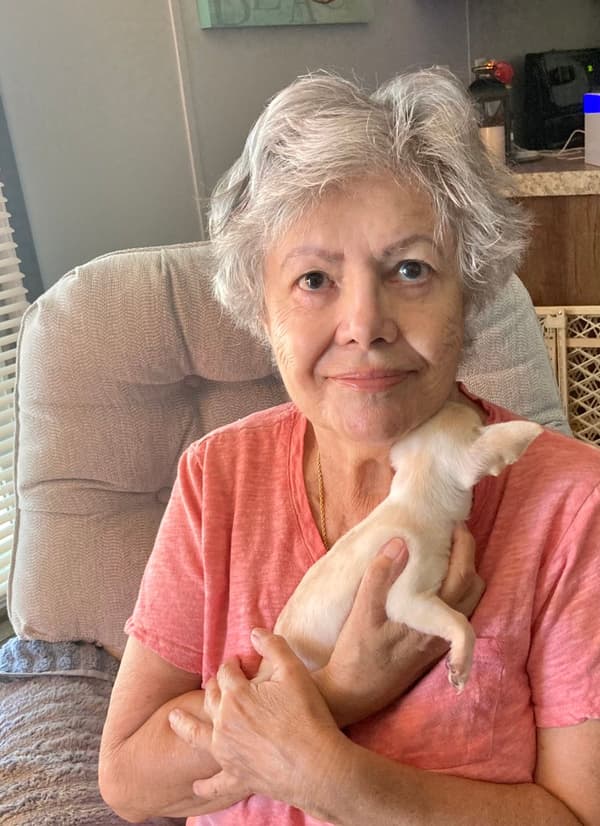 Customer photo of Chihuahua puppy from Betty K.