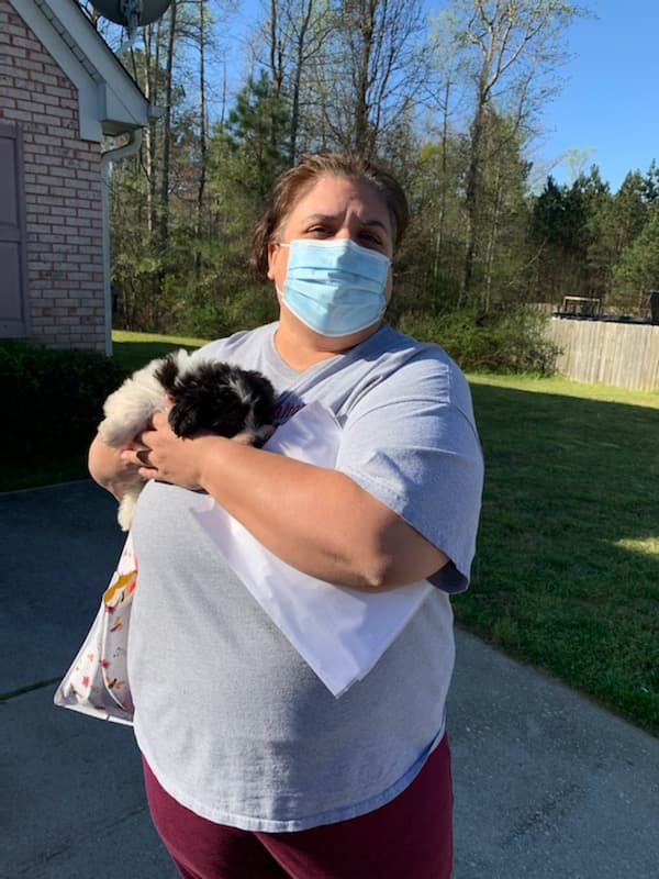 Customer photo of Havanese puppy from Salina D.