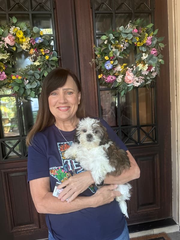 Customer photo of Shih Tzu puppy from Michelle T.