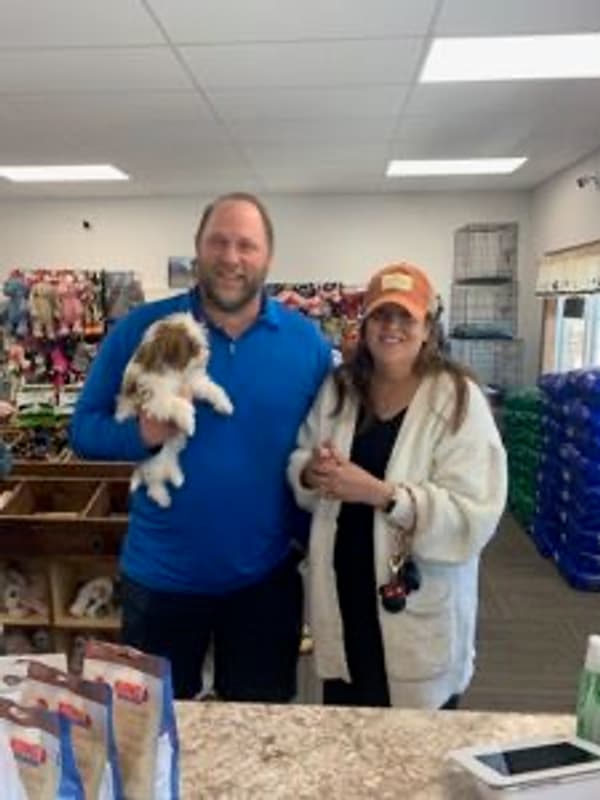 Customer photo of Havapoo puppy from April P.