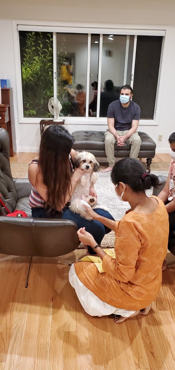 Customer photo of Shih Tzu puppy from Maalika M.