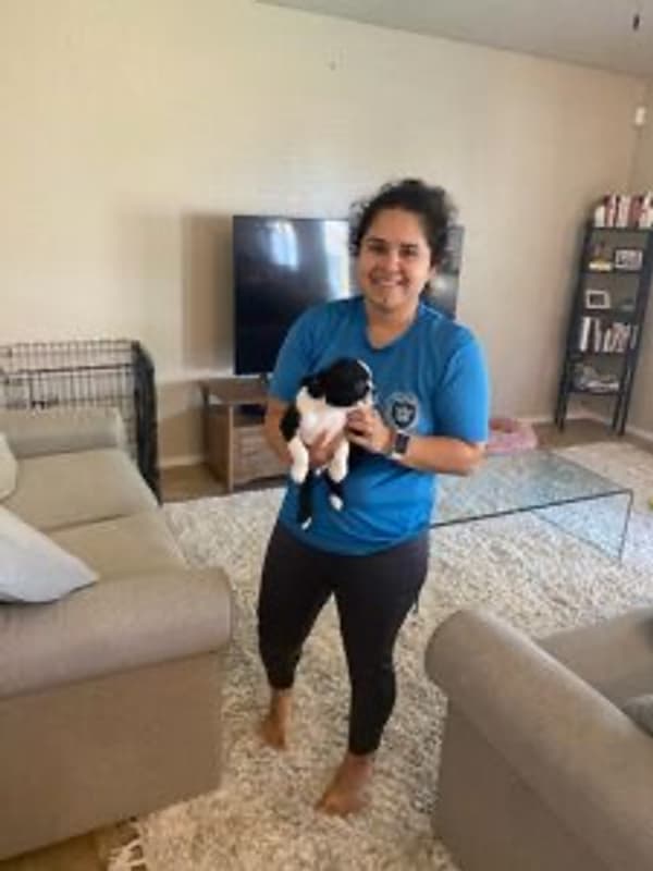 Customer photo of Boston Terrier puppy from Andrea E.