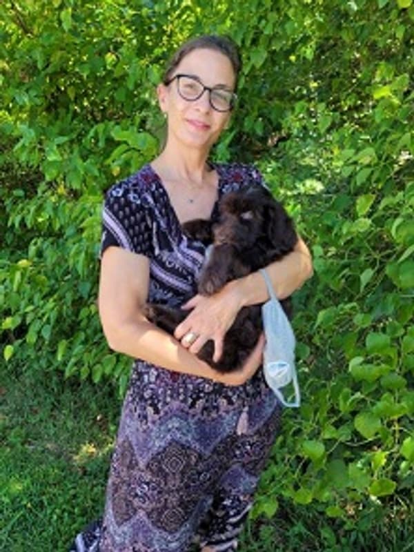 Customer photo of Sheepadoodle puppy from Kristi M.