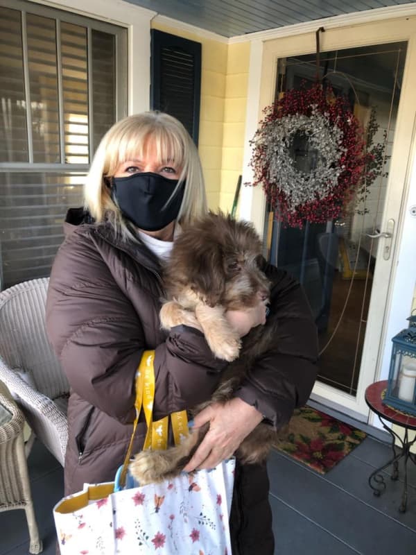 Customer photo of Aussiedoodle puppy from Diane C.