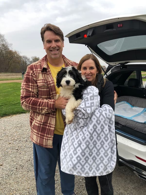 Customer photo of Bernedoodle, Mini puppy from Justine H.