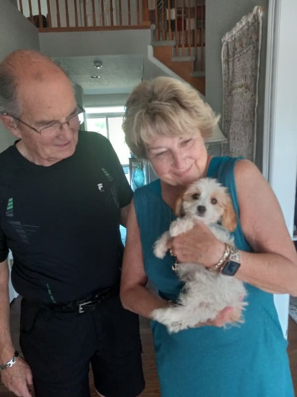 Customer photo of Cavachon puppy from Jeanne W.