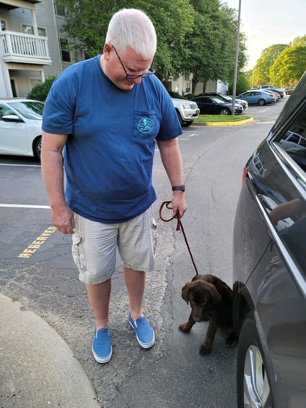 Customer photo of Labrador Retriever puppy from Don C.