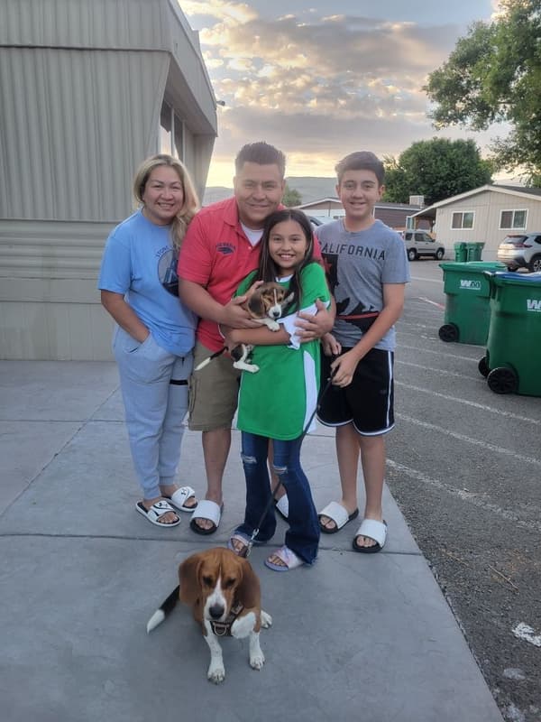 Customer photo of Beagle puppy from Michael V. 