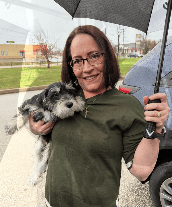 Customer photo of Schnauzer, Miniature puppy from Dianna J.