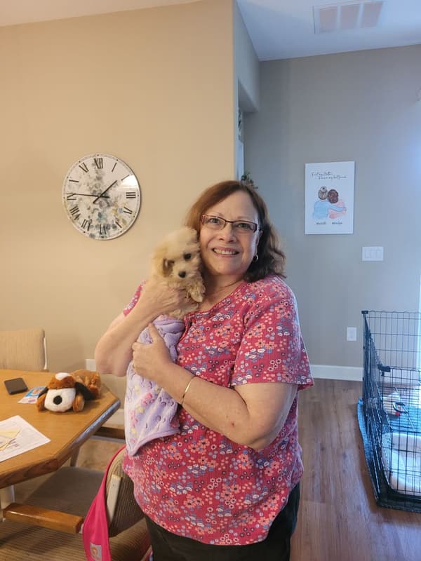 Customer photo of Malti Poo - Maltipoo puppy from Marilyn D.