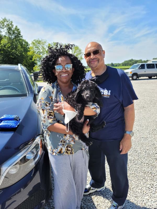 Customer photo of Bordoodle puppy from Connie B.