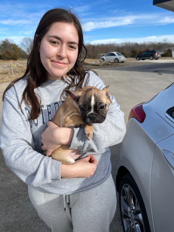 Customer photo of French Bulldog puppy from Patty B.