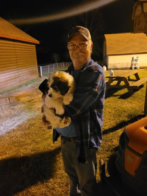 Customer photo of Saint Berdoodle - St. Berdoodle puppy from Eddie & Jo C.