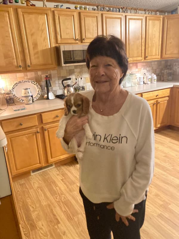 Customer photo of Cavalier King Charles Spaniel puppy from Jeanne L.