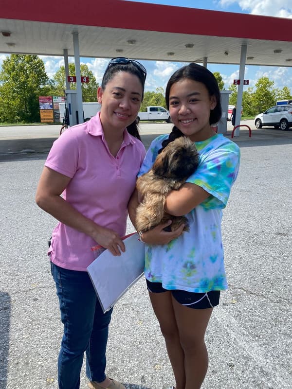 Customer photo of Shih Tzu puppy from Melissa N.