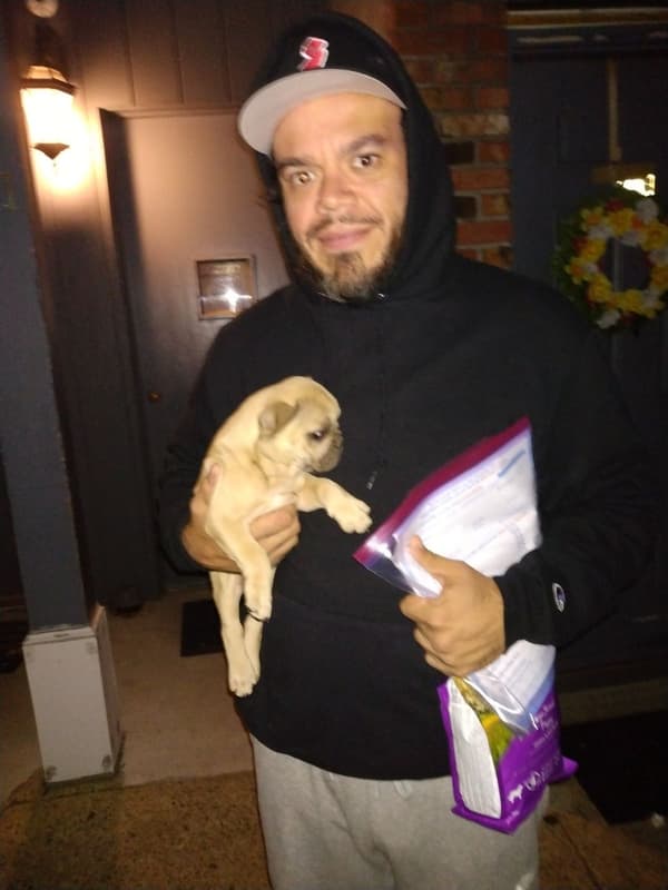 Customer photo of French Bulldog puppy from Doug M.