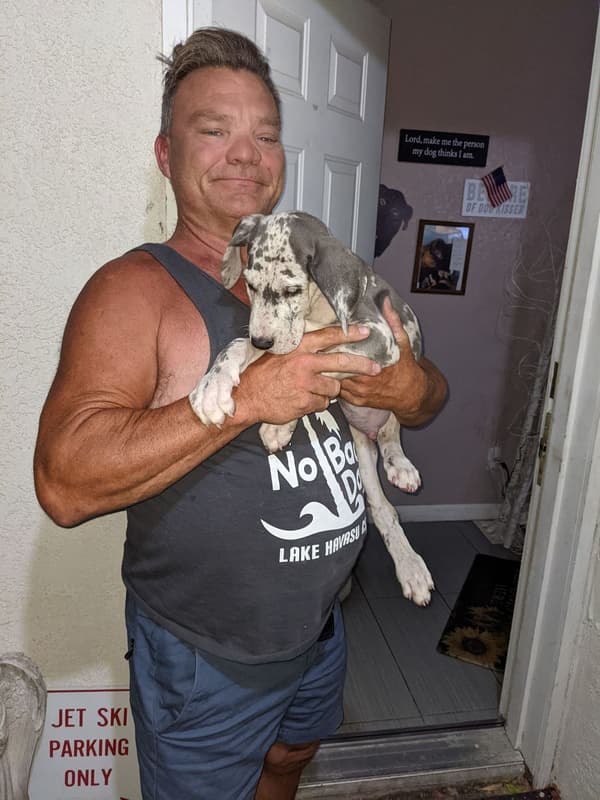 Customer photo of Great Dane puppy from Mary B.