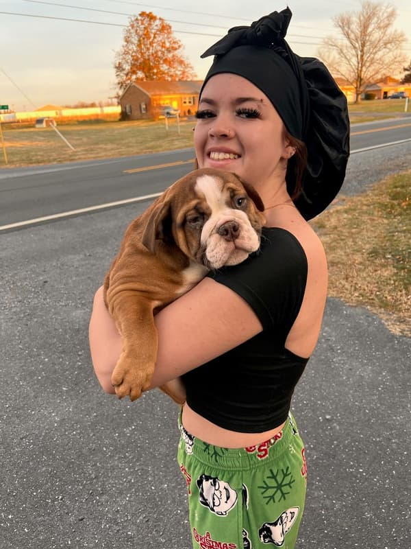 Customer photo of English Bulldog puppy from Leanna H.