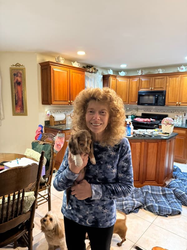 Customer photo of Dachshund, Mini puppy from Joan M.