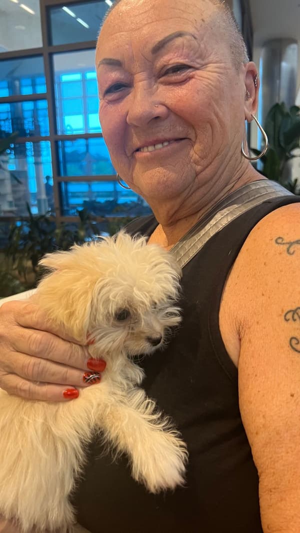 Customer photo of Poma-Poo - Pomapoo puppy from Bernadette Z.