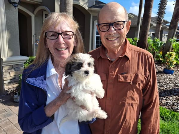 Customer photo of Havanese puppy from Stephen J.