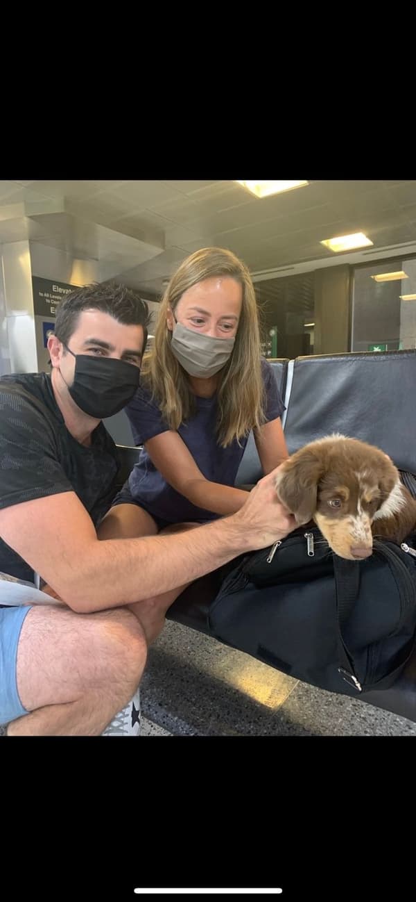 Customer photo of Australian Shepherd puppy from Ryan M.