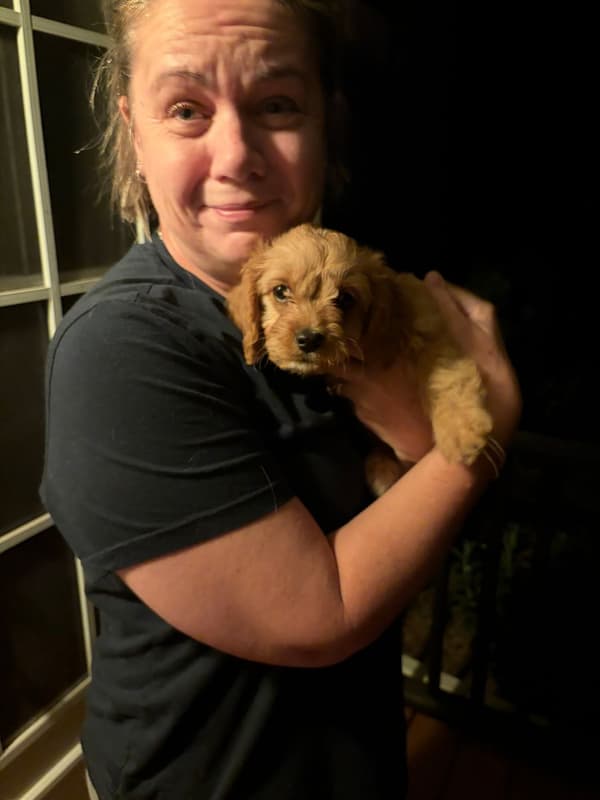 Customer photo of Cavapoo puppy from Jennifer S.