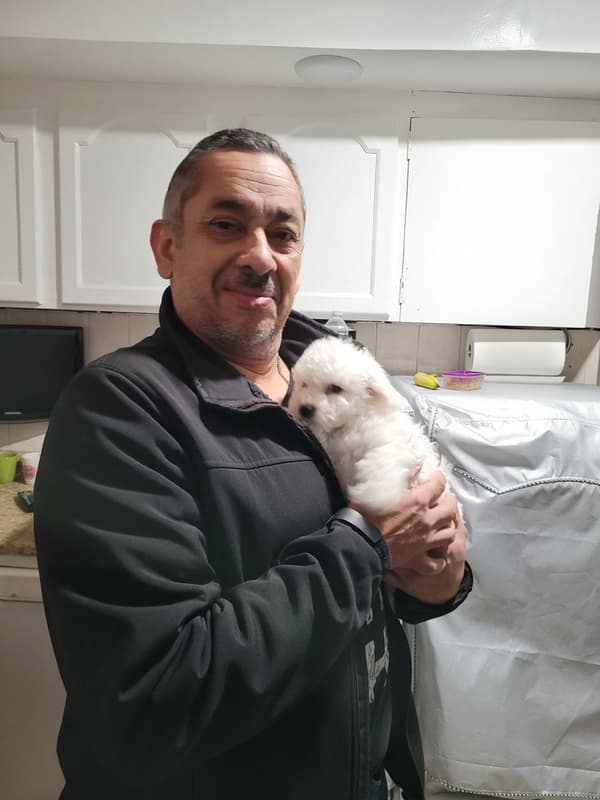 Customer photo of Bichon Frise puppy from Jose R.