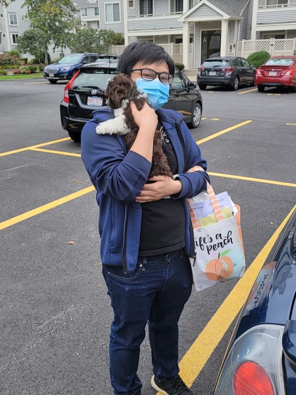 Customer photo of Havanese puppy from Carina W.