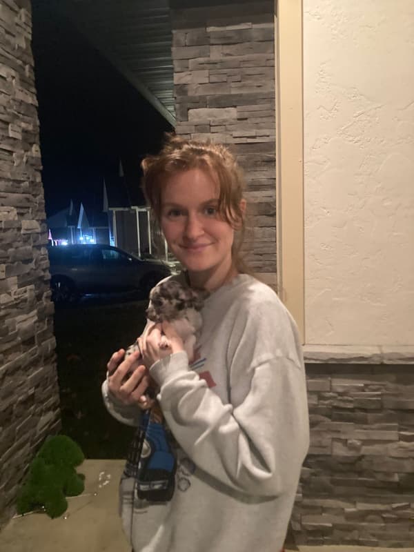 Customer photo of Chihuahua puppy from Tiffany N.