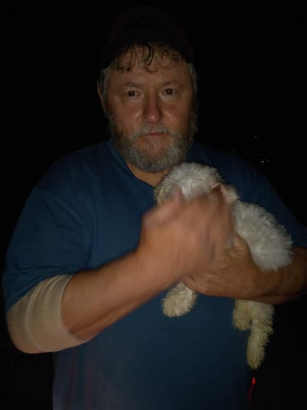 Customer photo of Bichon Frise puppy from Roman K.