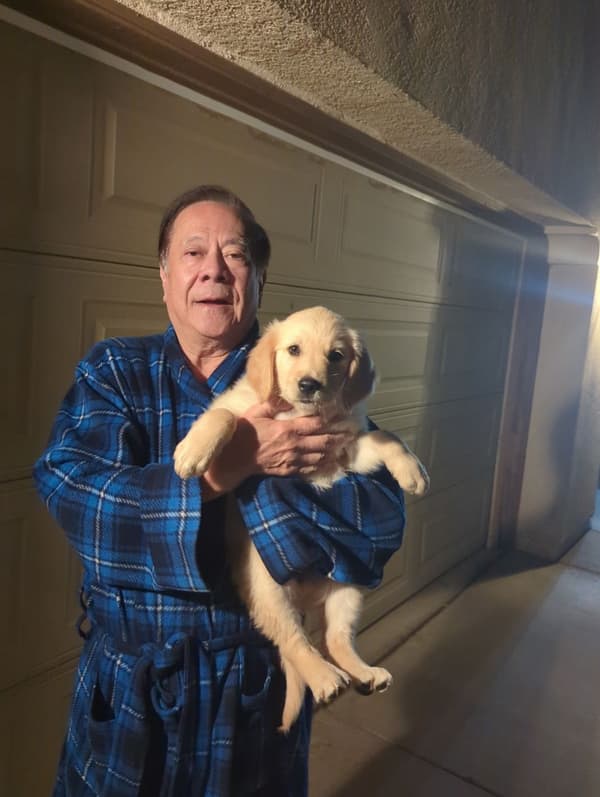 Customer photo of Golden Retriever puppy from Tommy C.