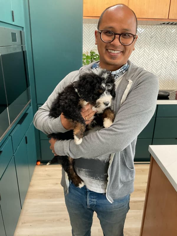 Customer photo of Bernedoodle puppy from Edgar C.