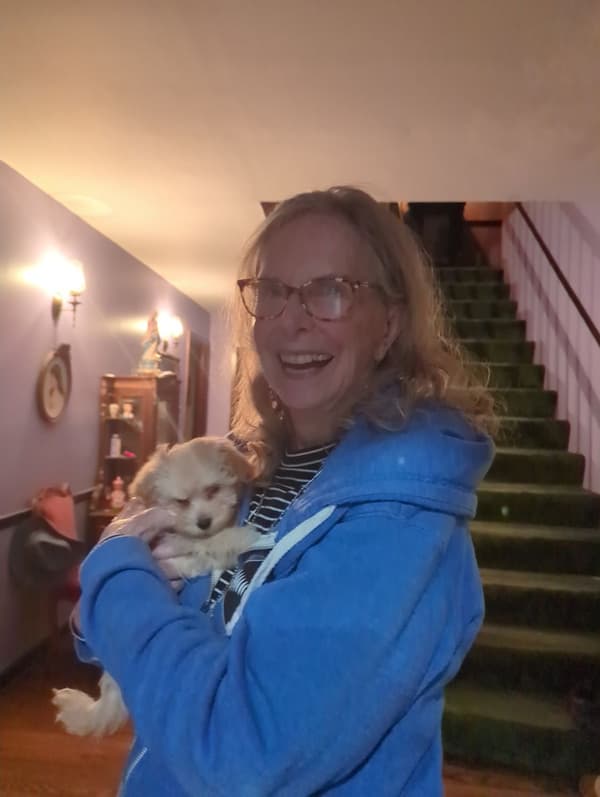 Customer photo of Malti Poo - Maltipoo puppy from Susan P.