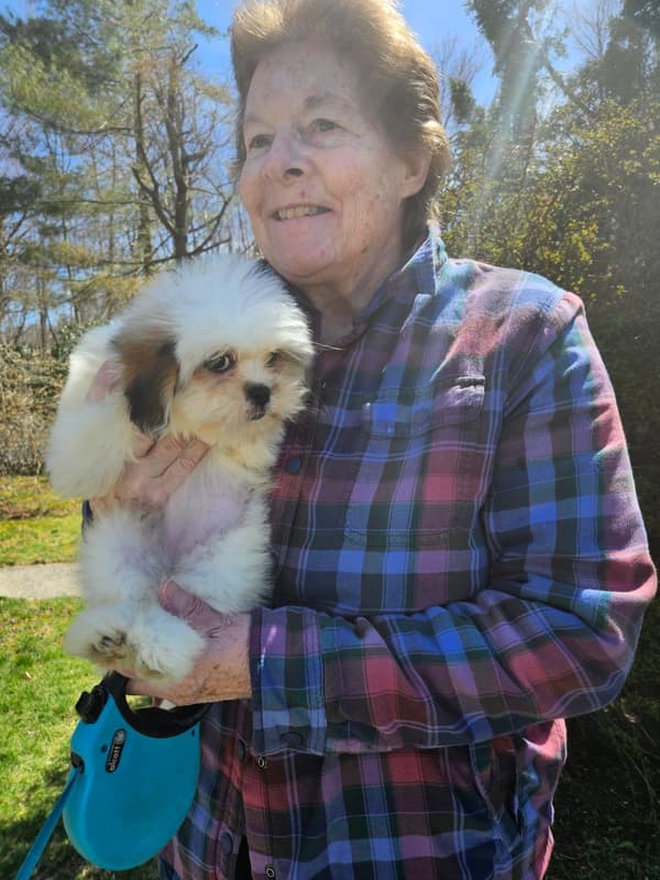 Customer photo of Lhasa Apso puppy from Lynn W.