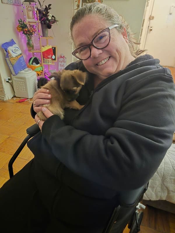 Customer photo of Chihuahua puppy from Bridget O.