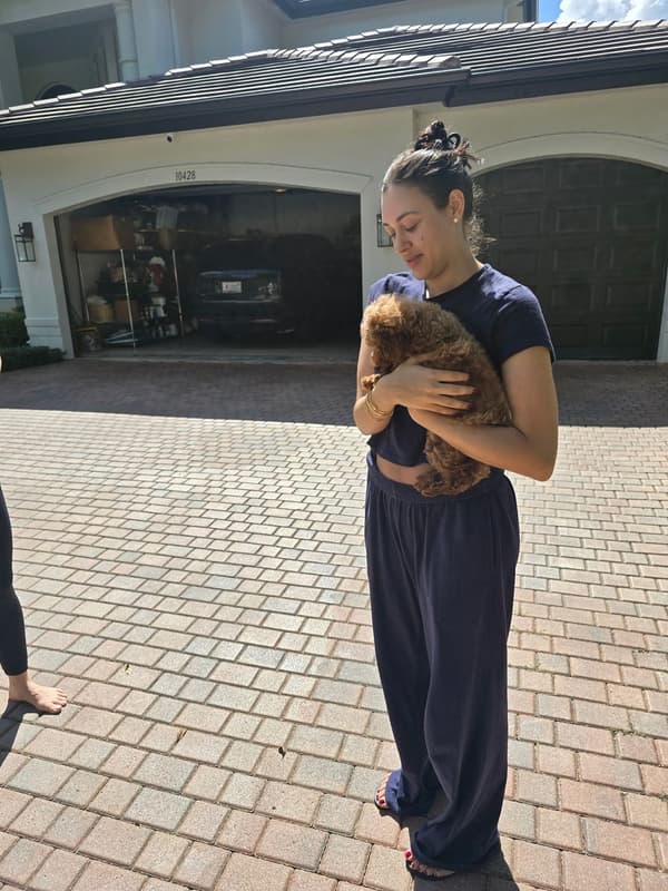 Customer photo of Poodle, Miniature puppy from Christy E.