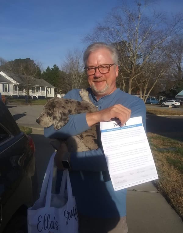 Customer photo of Great Dane puppy from Scott B.